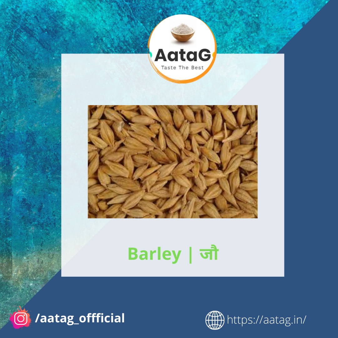 जौ | Jou | Barley (1 Kg)