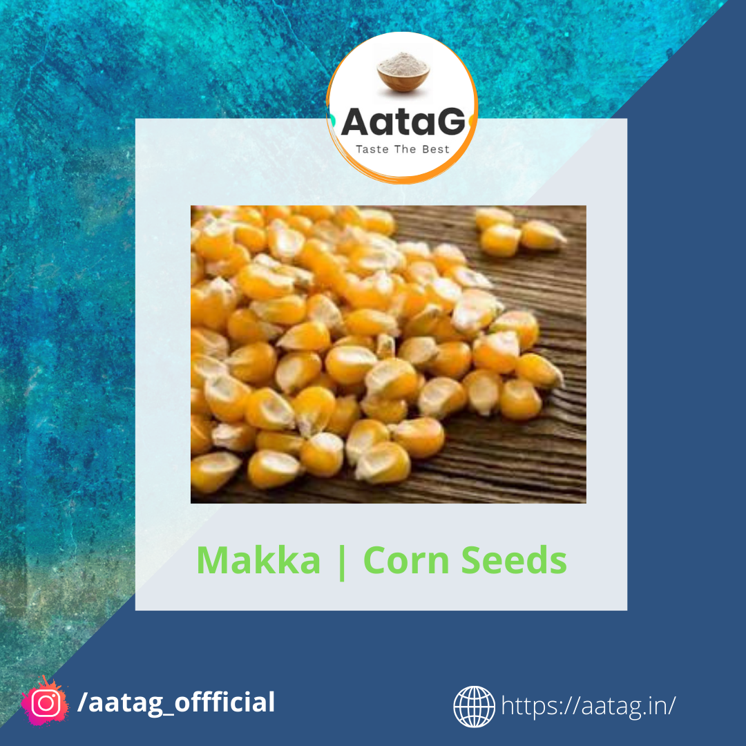 मक्का | Makka | Corn Seeds (1 Kg)